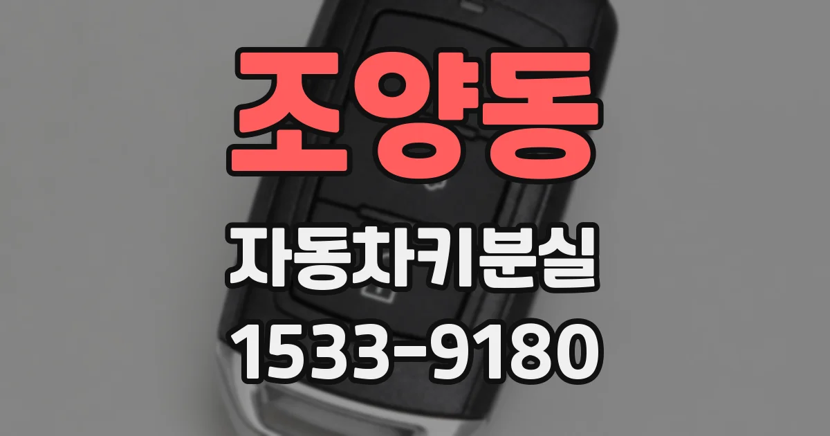 조양동 자동차키분실