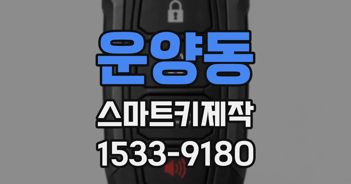 운양동 스마트키제작