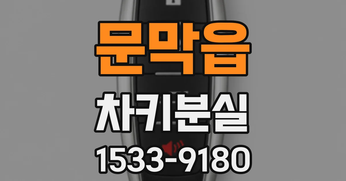 문막읍 차키분실