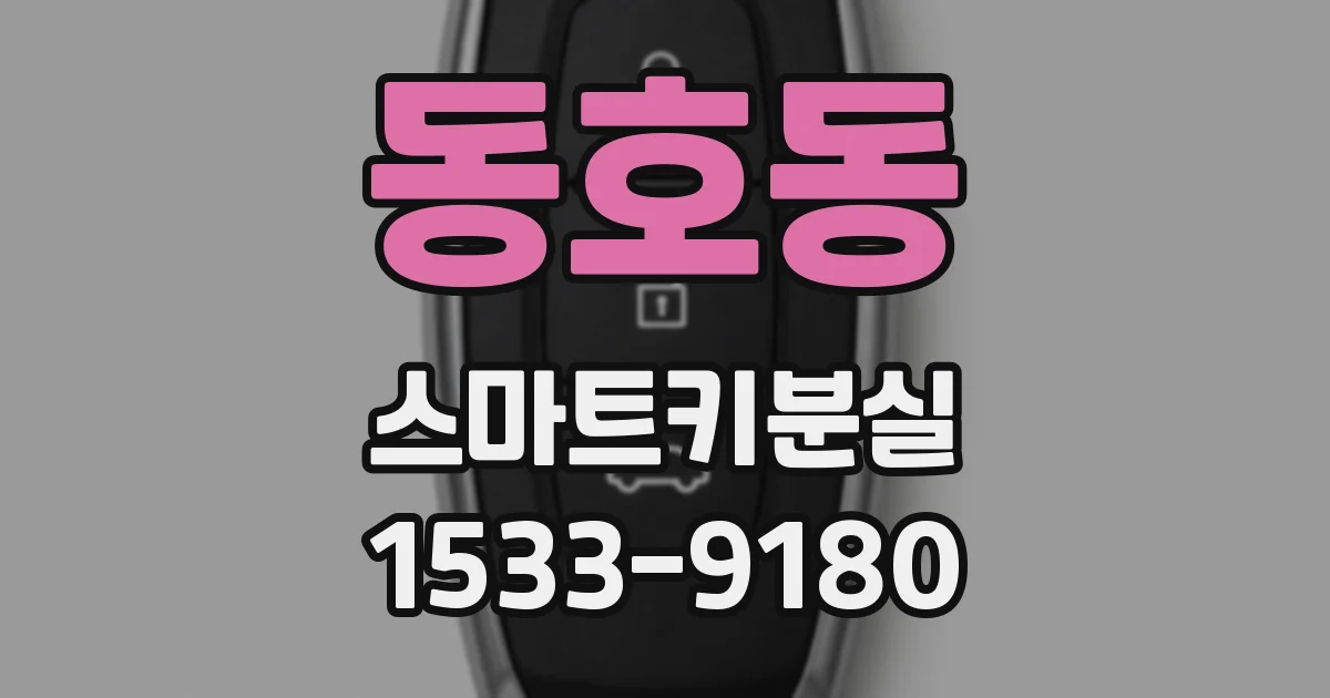 동호동 스마트키분실