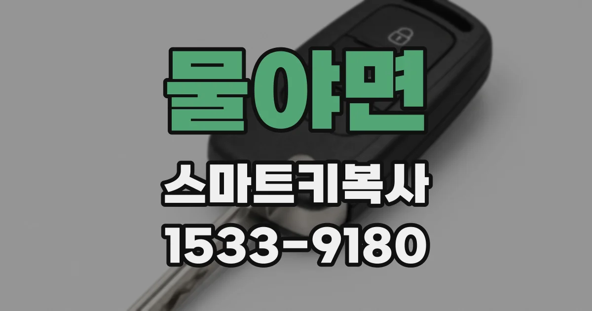 물야면 스마트키복사