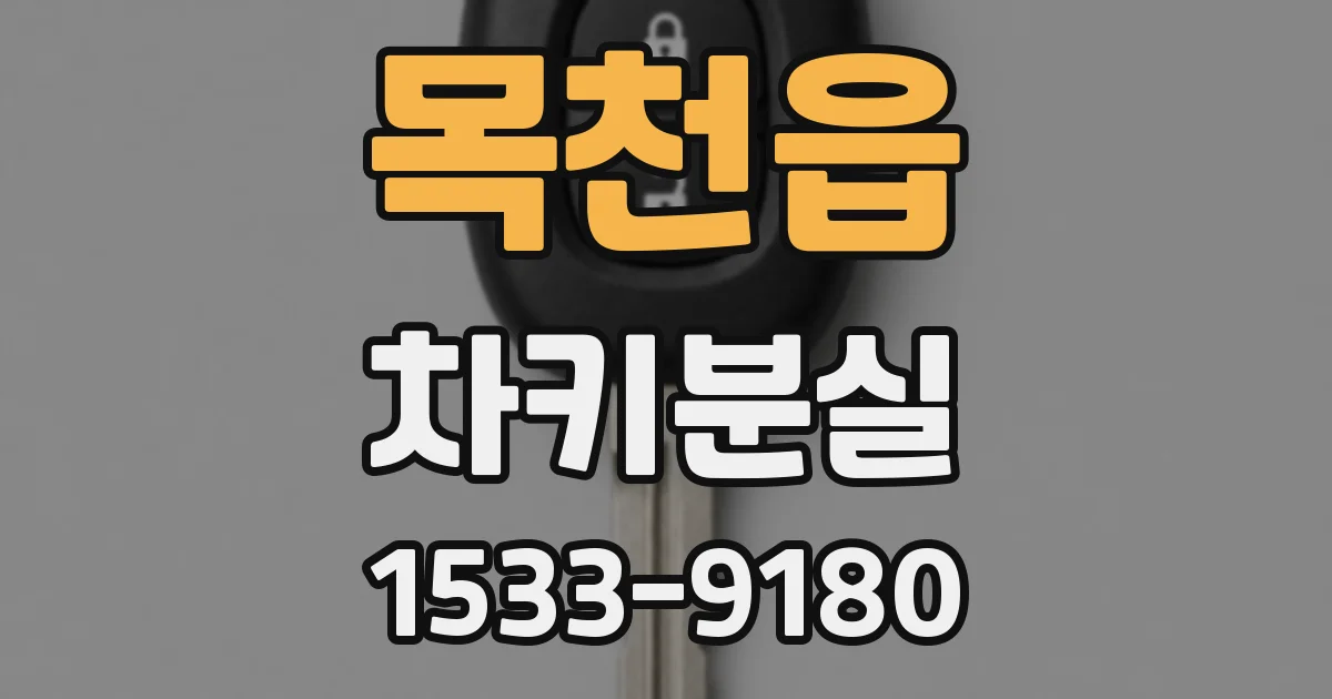 목천읍 차키분실