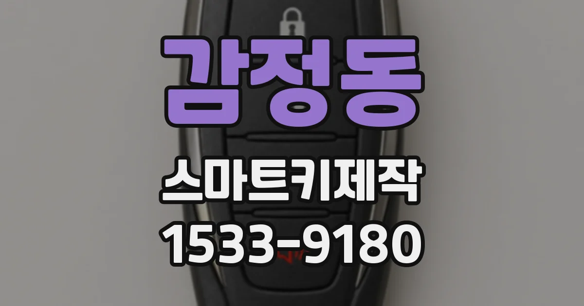 감정동 스마트키제작