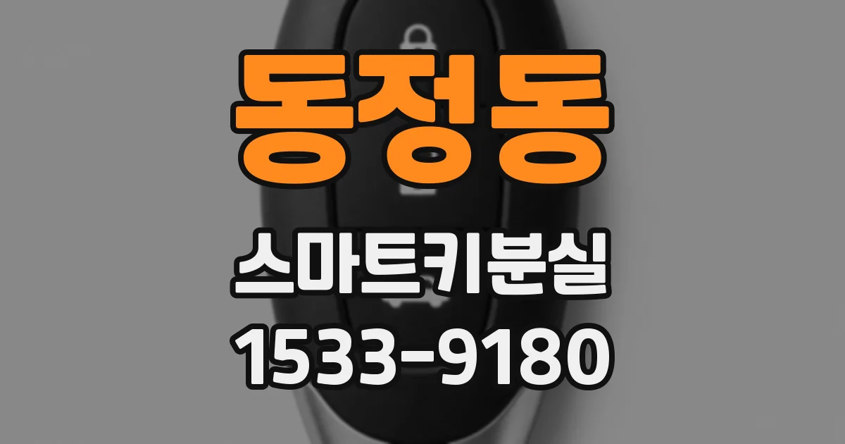 동정동 스마트키분실