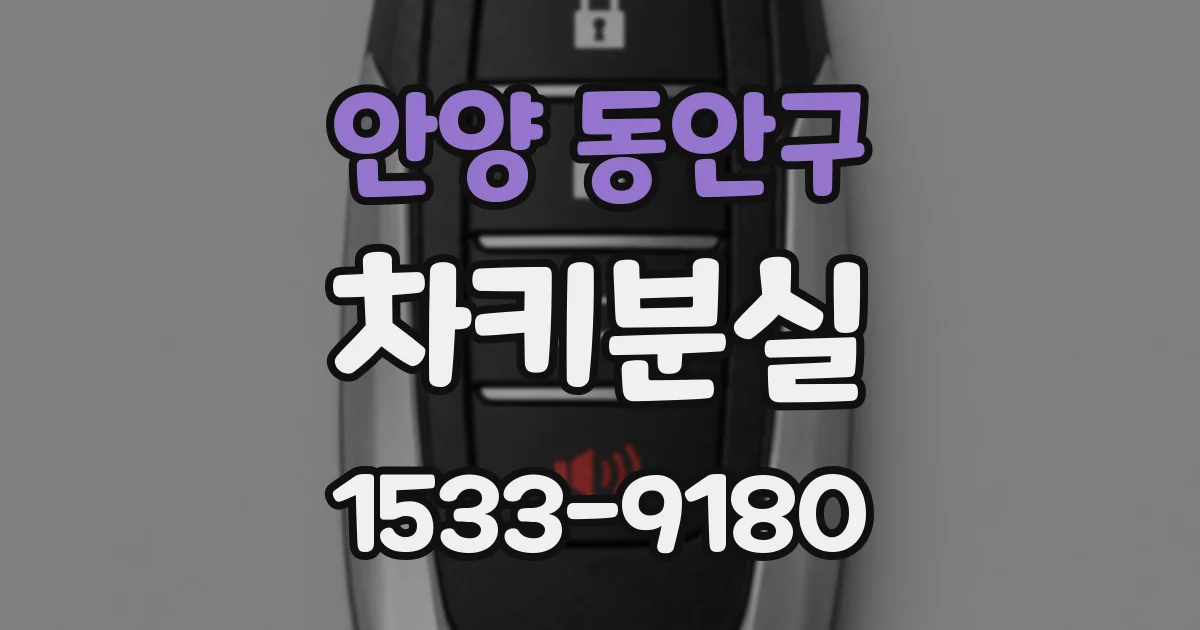 안양 동안구 차키분실