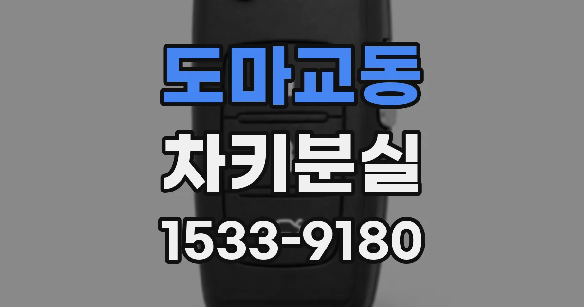 도마교동 차키분실