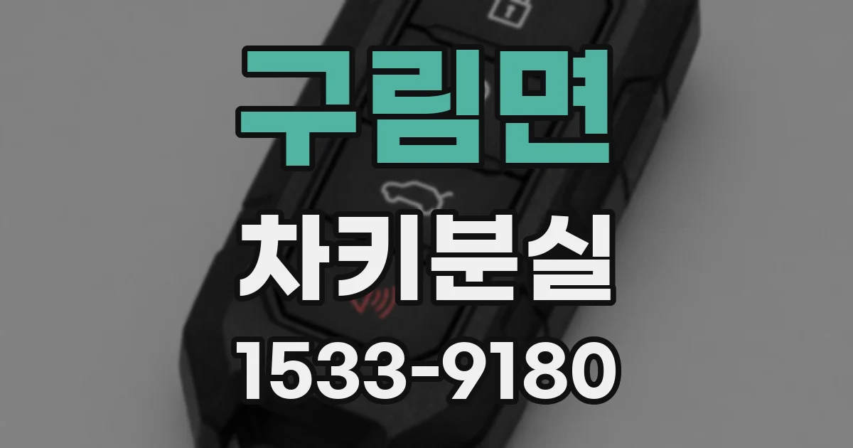 구림면 차키분실