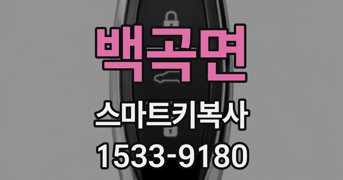 백곡면 스마트키복사