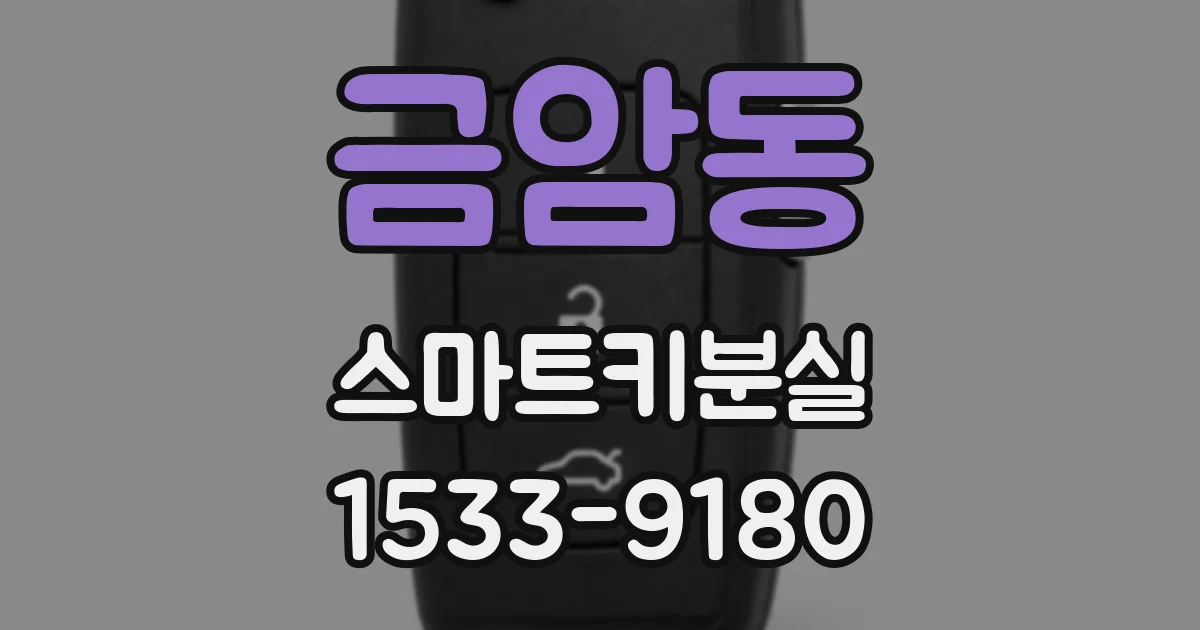 금암동 스마트키분실