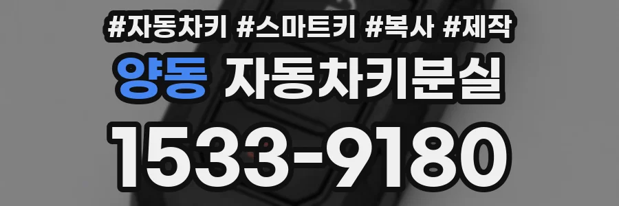양동 자동차키분실