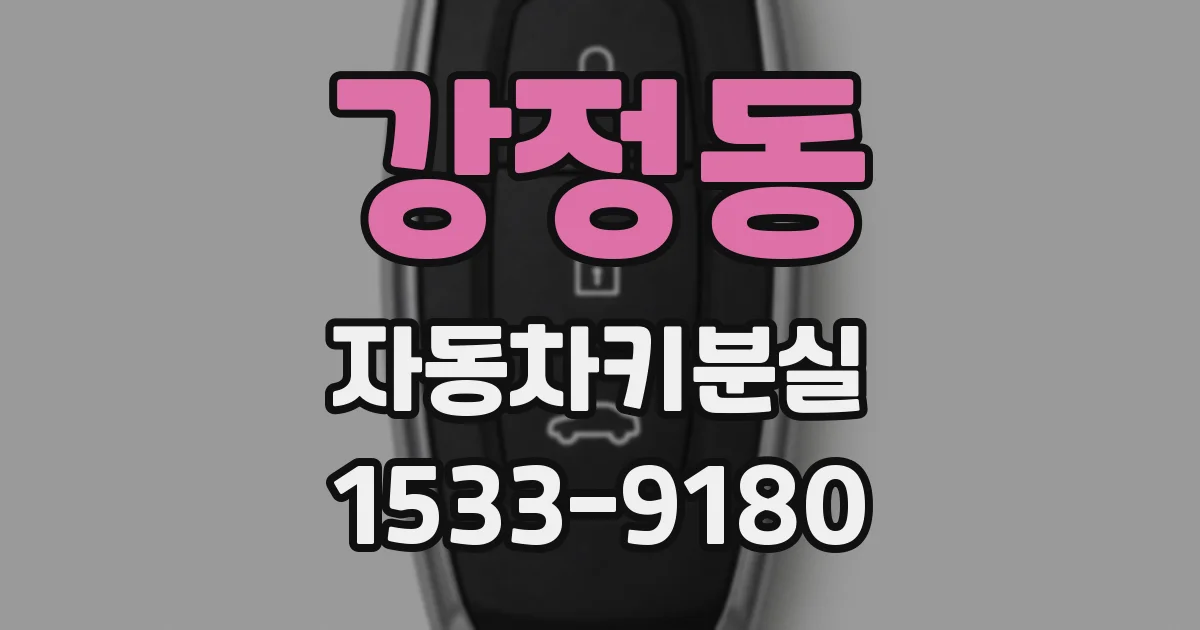 강정동 자동차키분실