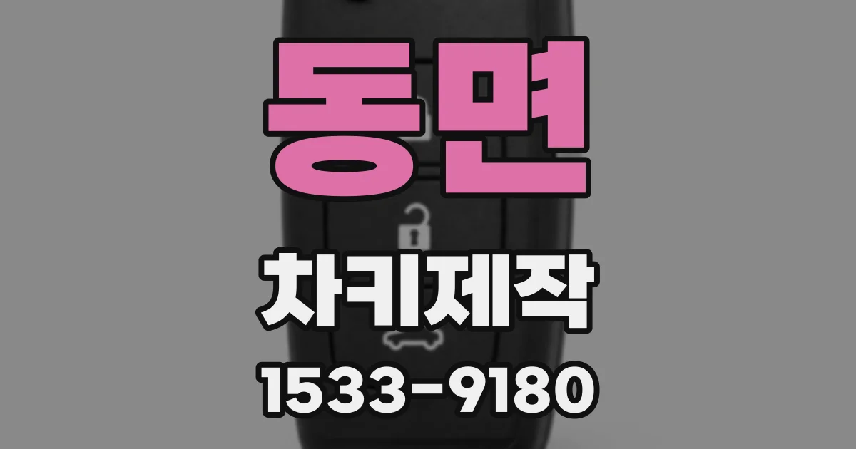 동면 차키제작