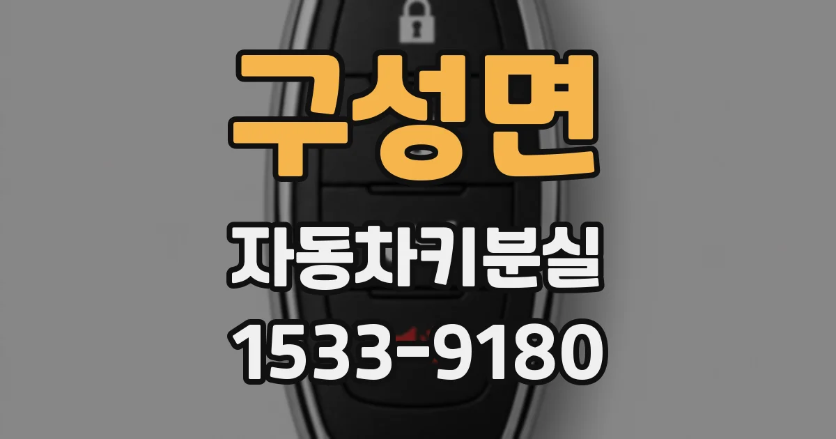 구성면 자동차키분실