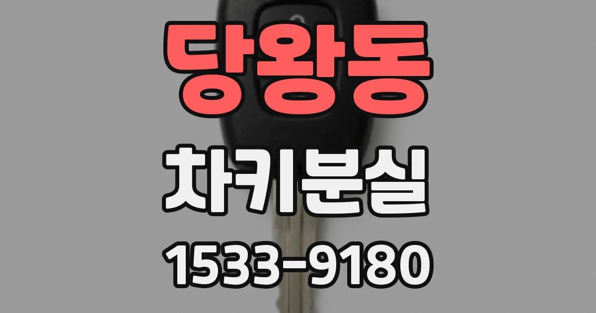 당왕동 차키분실