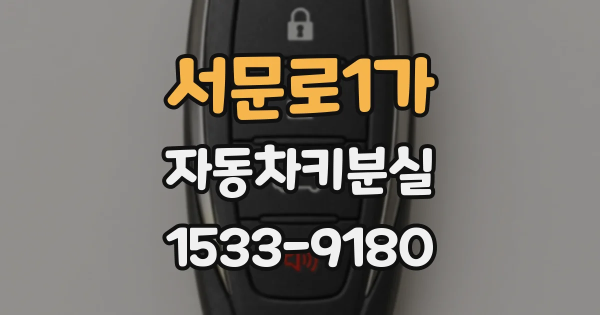 서문로1가 자동차키분실