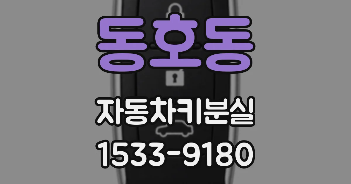 동호동 자동차키분실