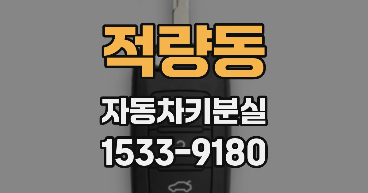 적량동 자동차키분실