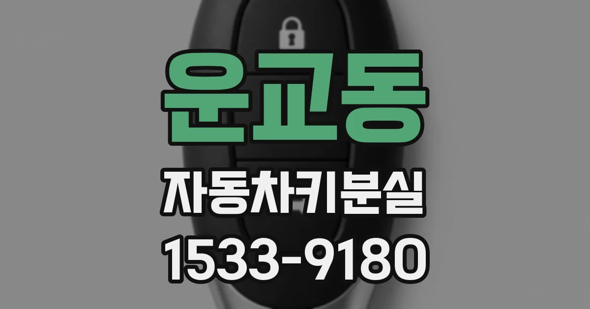 운교동 자동차키분실