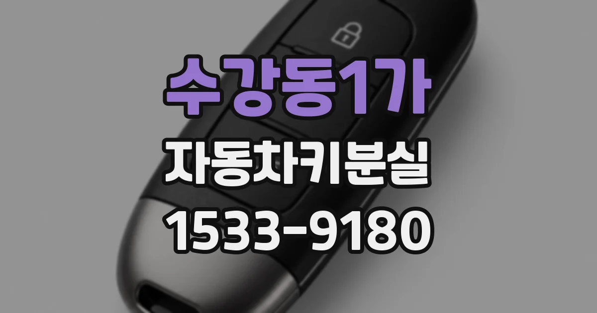 수강동1가 자동차키분실