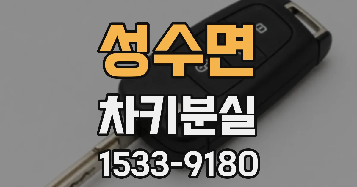 성수면 차키분실