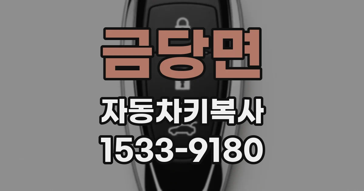 금당면 자동차키복사