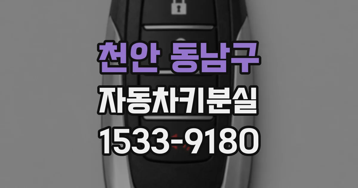 천안 동남구 자동차키분실