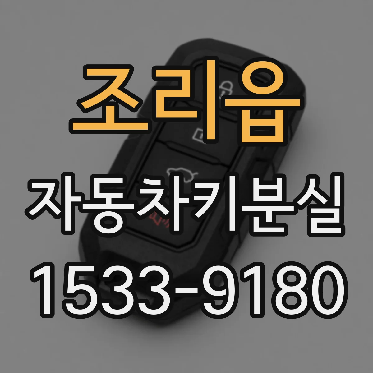 조리읍 자동차키분실