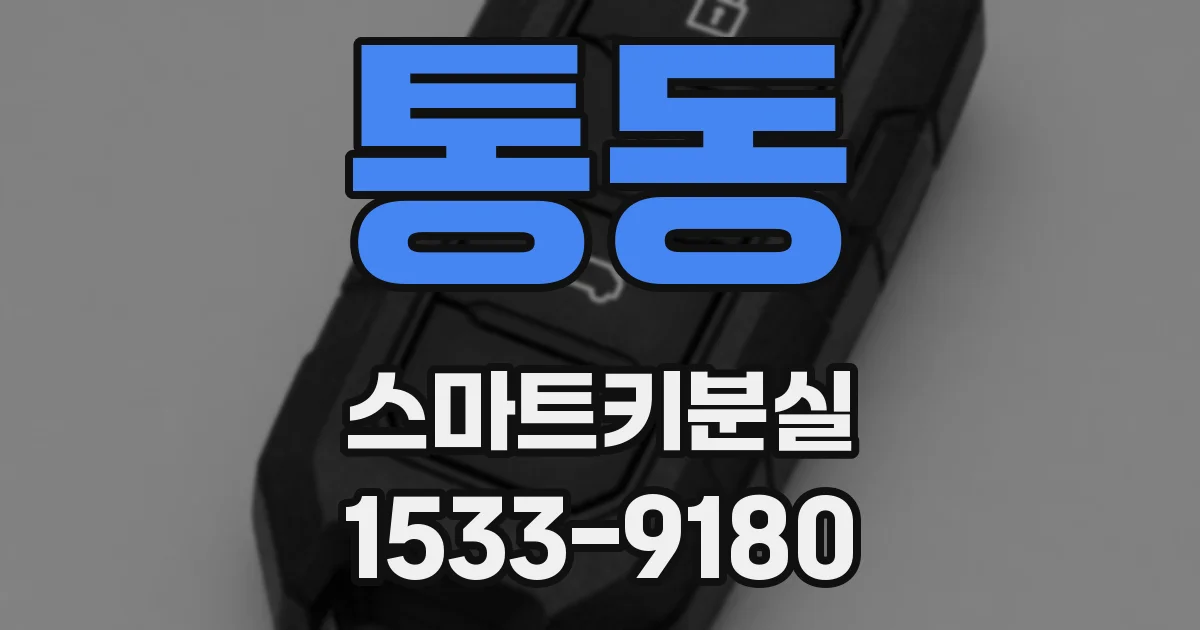 통동 스마트키분실