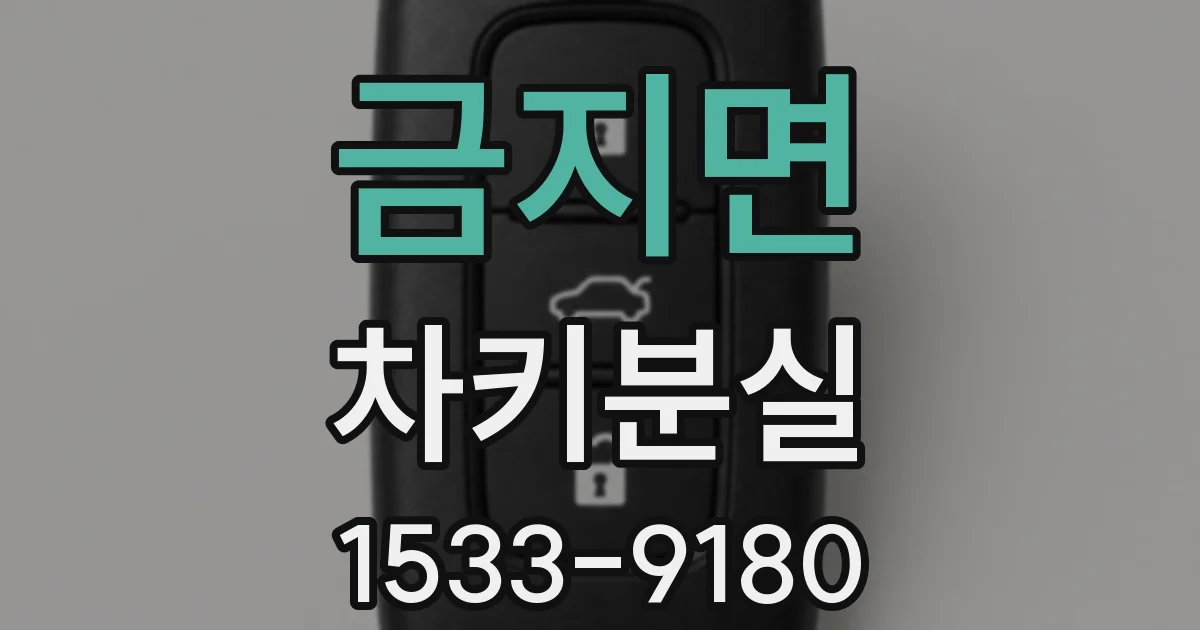 금지면 차키분실