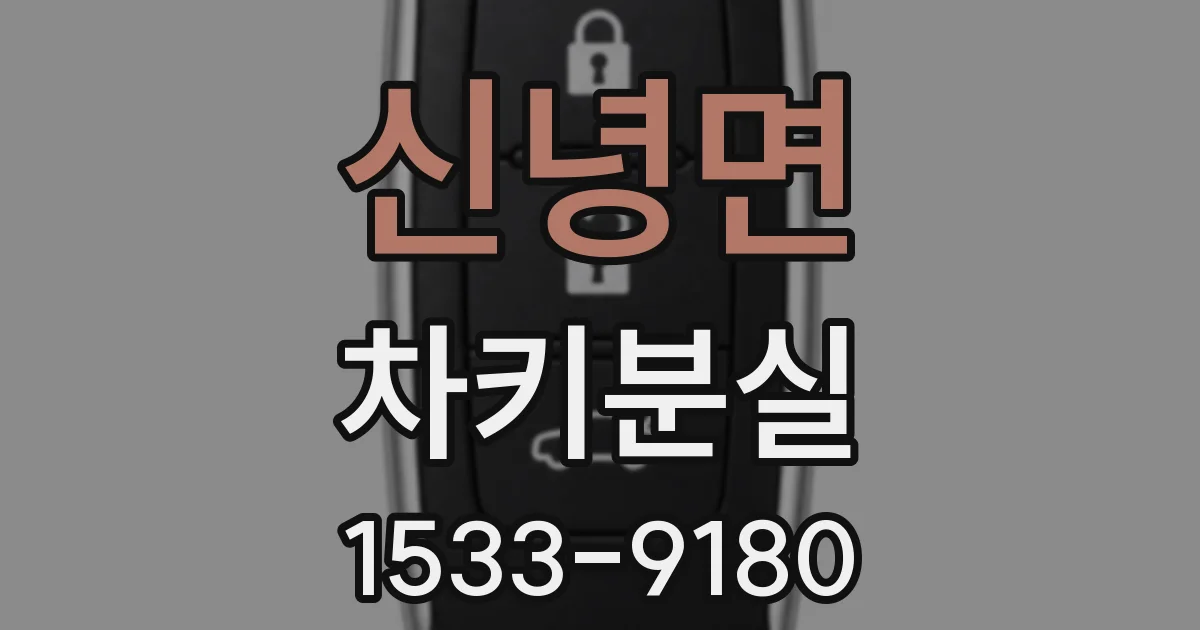 신녕면 차키분실
