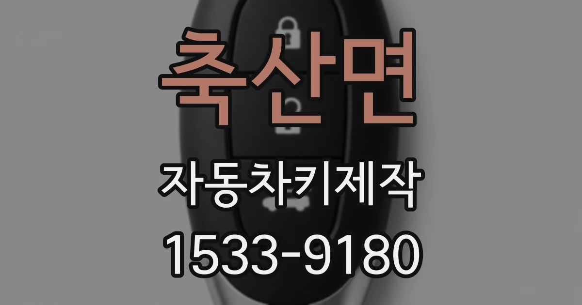 축산면 자동차키제작