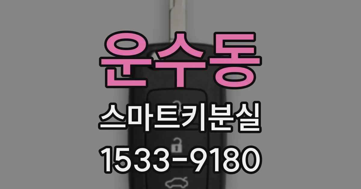 운수동 스마트키분실