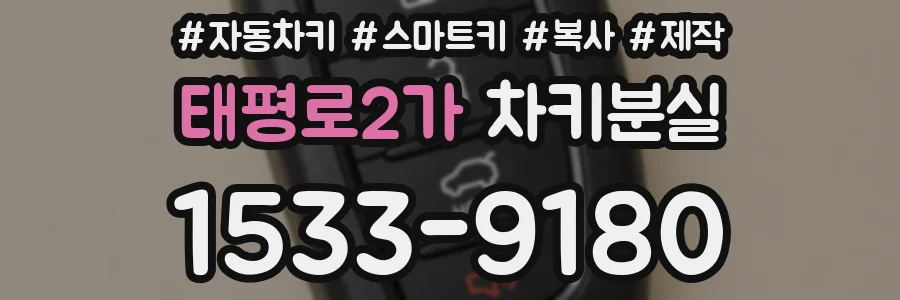 태평로2가 차키분실