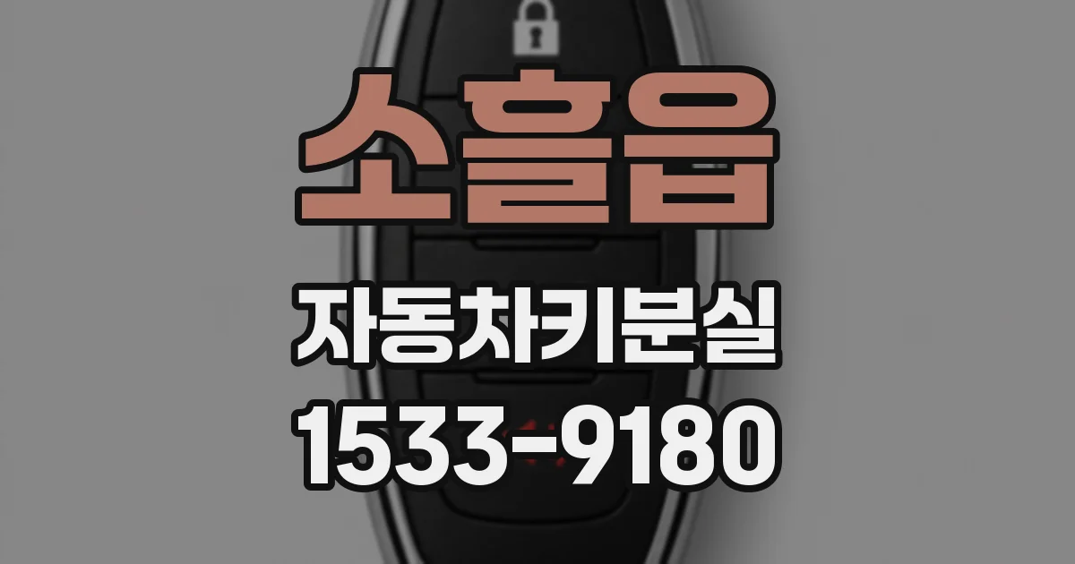 소흘읍 자동차키분실