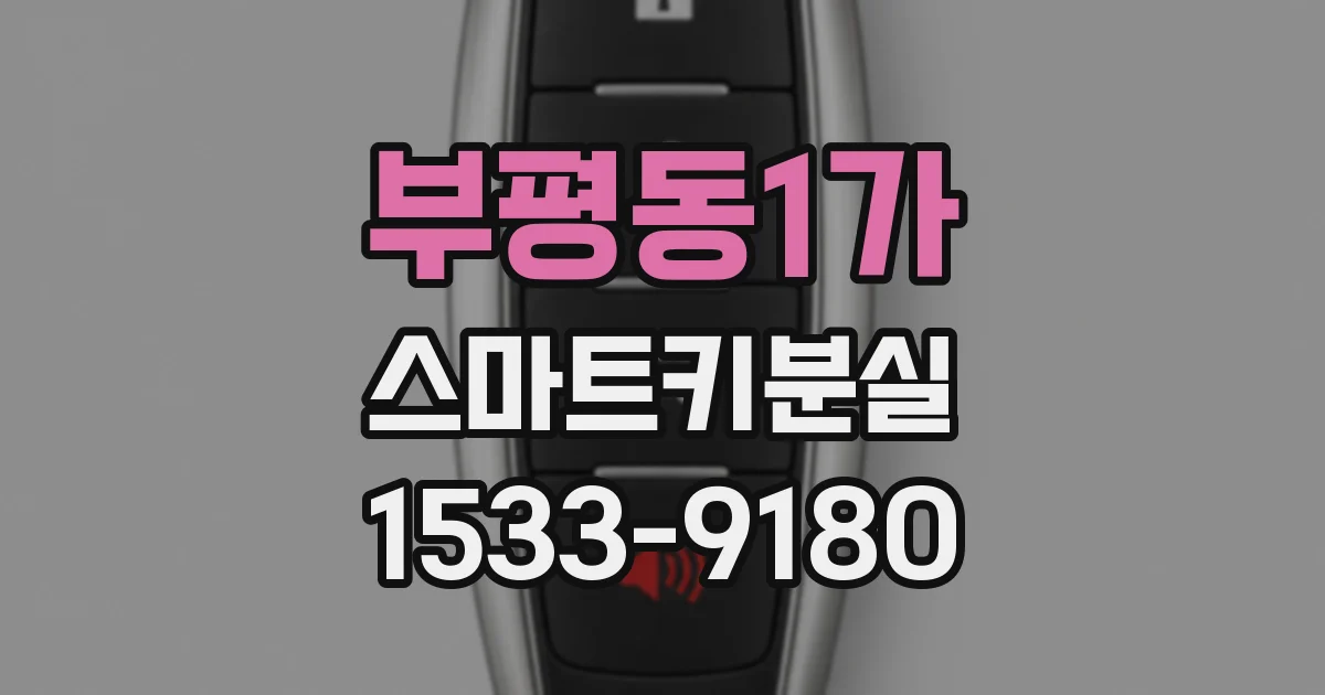 부평동1가 스마트키분실