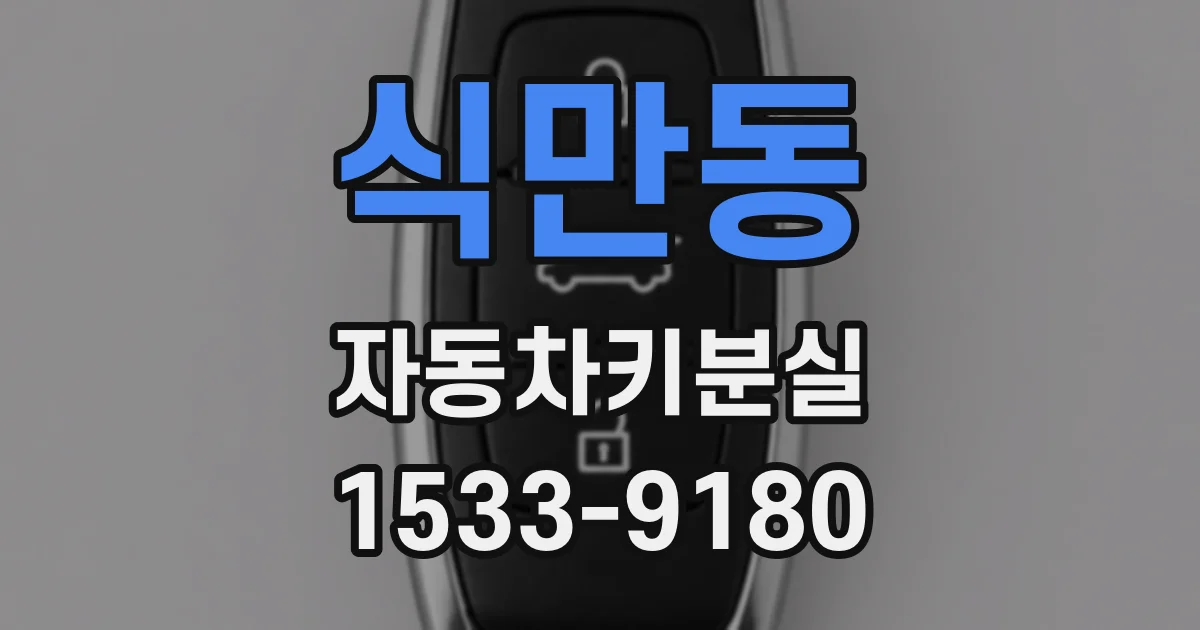 식만동 자동차키분실