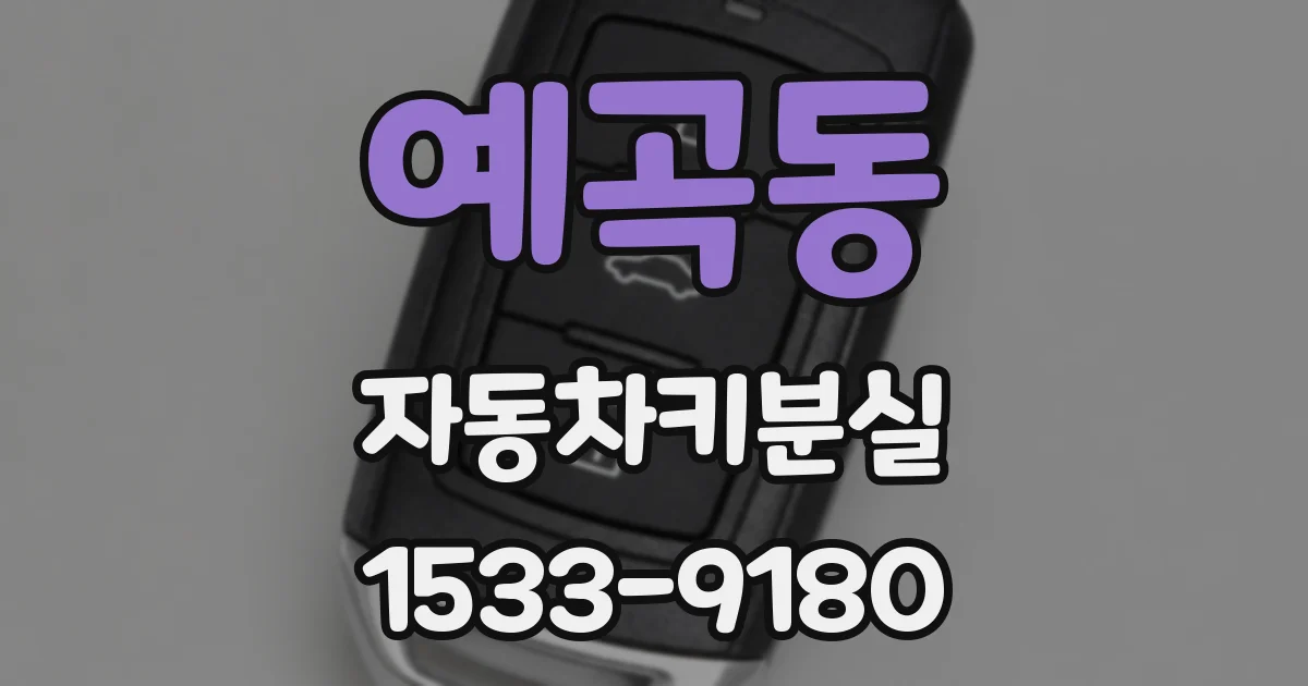 예곡동 자동차키분실