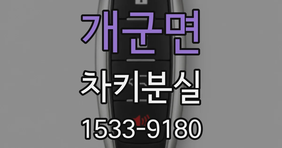 개군면 차키분실