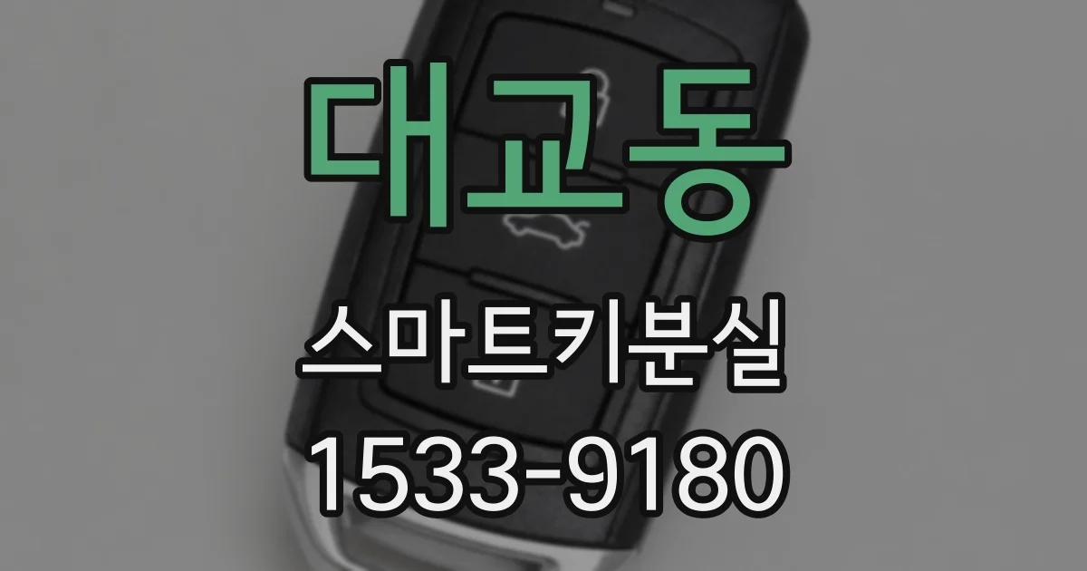 대교동 스마트키분실