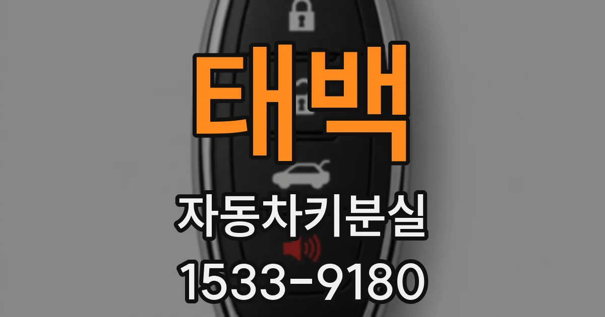 태백 자동차키분실
