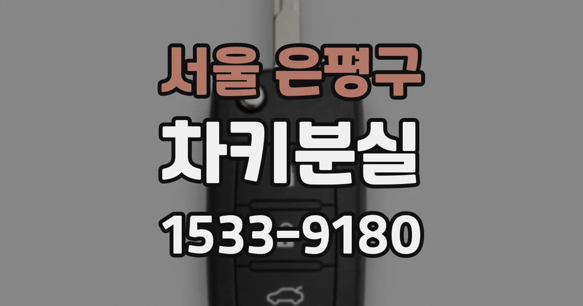 서울 은평구 차키분실