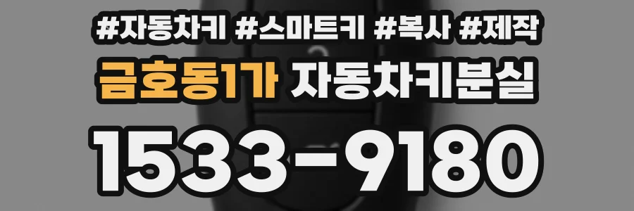 금호동1가 자동차키분실