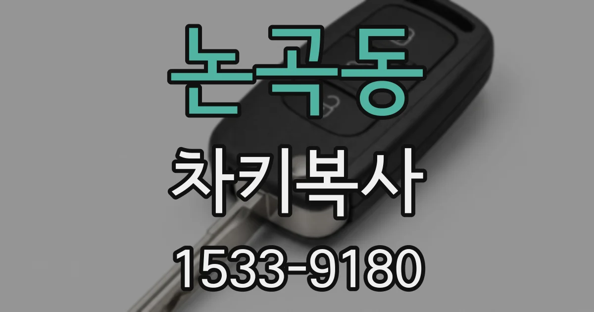 논곡동 차키복사