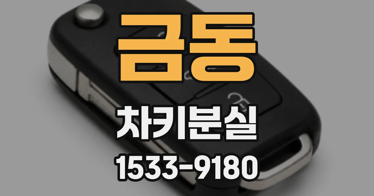 금동 차키분실