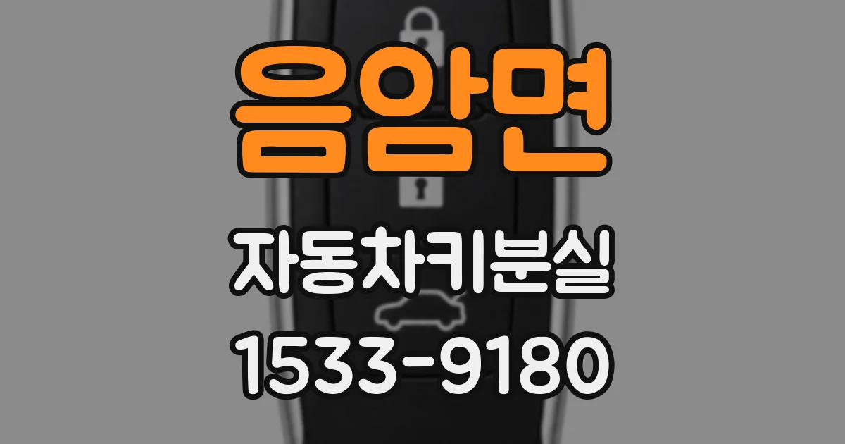 음암면 자동차키분실