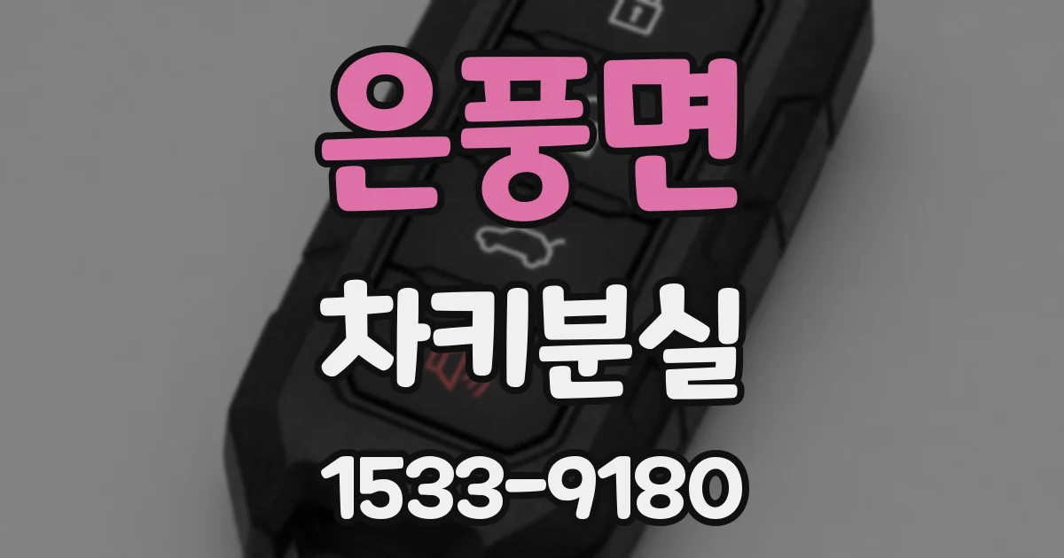 은풍면 차키분실