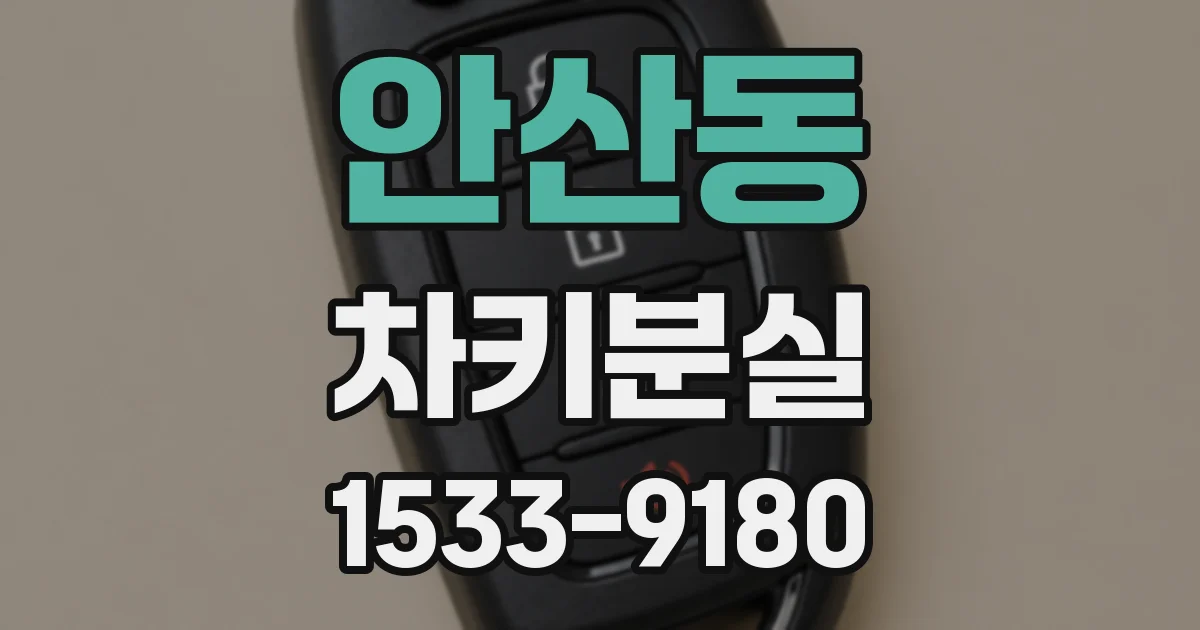 안산동 차키분실