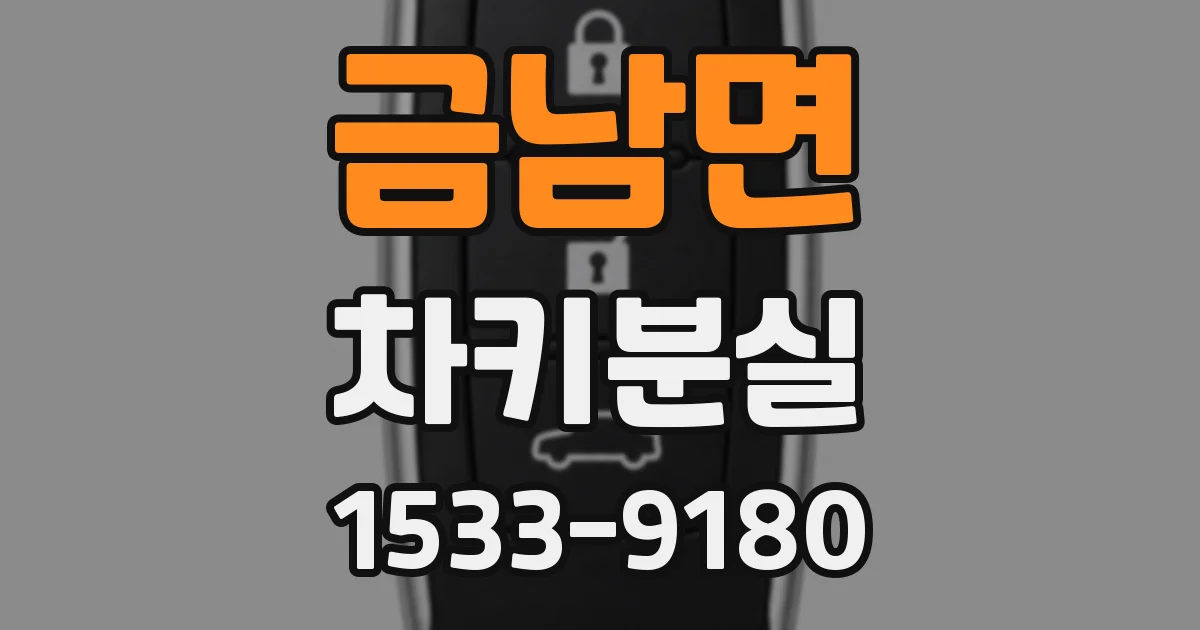 금남면 차키분실