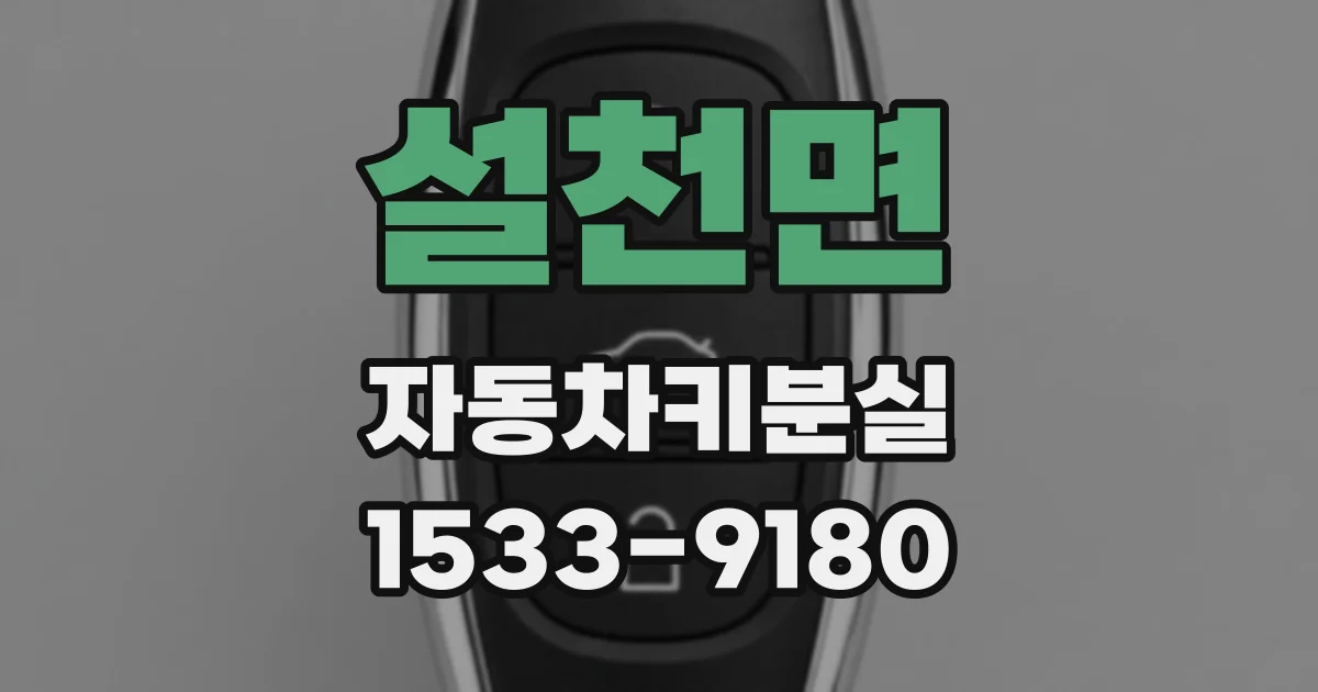 설천면 자동차키분실