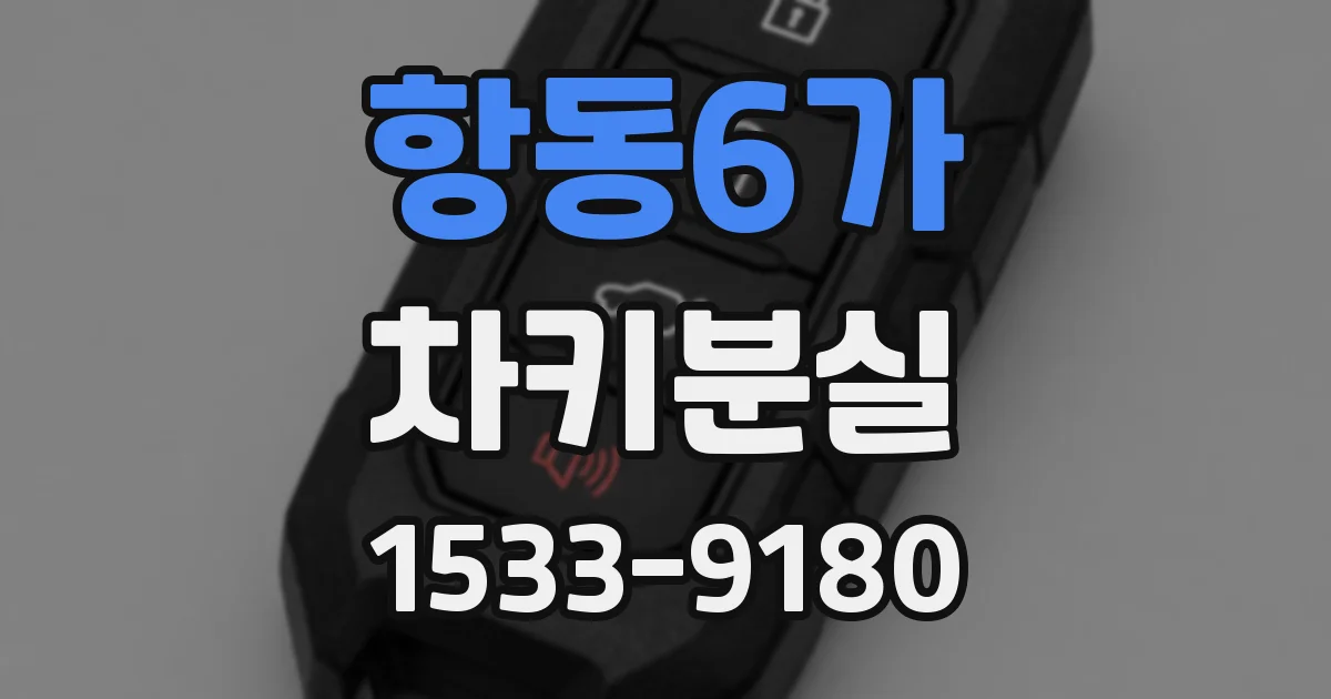 항동6가 차키분실